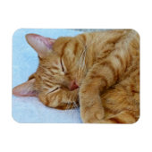 Slaapdeksel Magneet (Horizontaal)