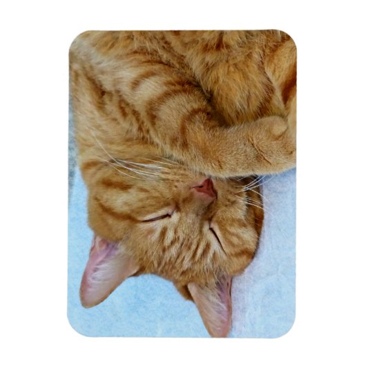 Slaapdeksel Magneet (Verticaal)