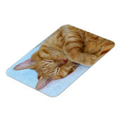 Slaapdeksel Magneet (Linkerzijde)