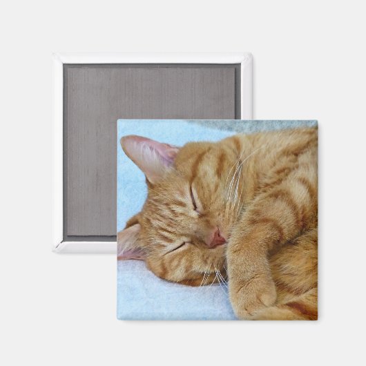 Slaapdeksel Magneet (Voorkant / Achterkant)