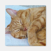 Slaapdeksel Magneet (Voorkant)