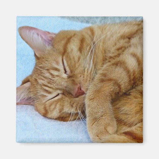 Slaapdeksel Magneet (Voorkant)