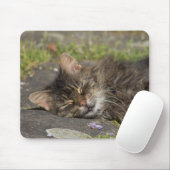 Slaapdeksel Muismat (Met muis)