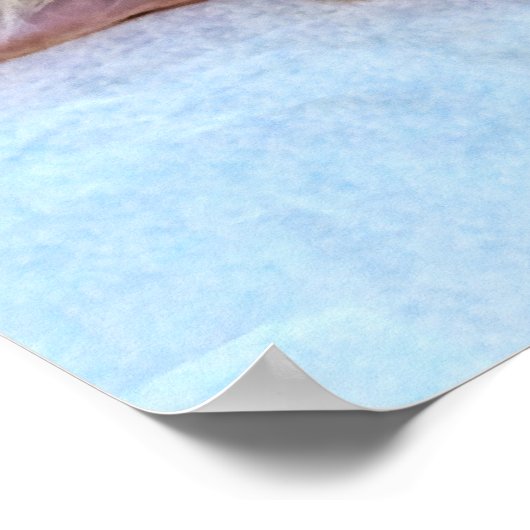 Slaapdeksel Poster (Hoek)