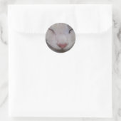 Slaapdeksel Ronde Sticker (Tas)