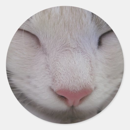 Slaapdeksel Ronde Sticker (Voorkant)