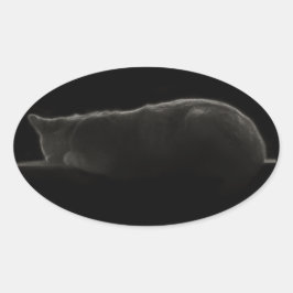 Slaapdeksel voor fotografie ovale sticker