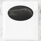 Slaapdeksel voor fotografie ovale sticker (Tas)