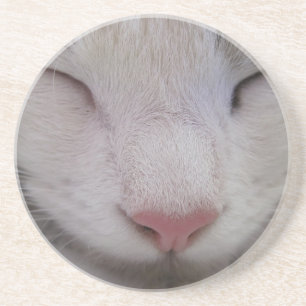 Slaapdeksel Zandsteen Onderzetter