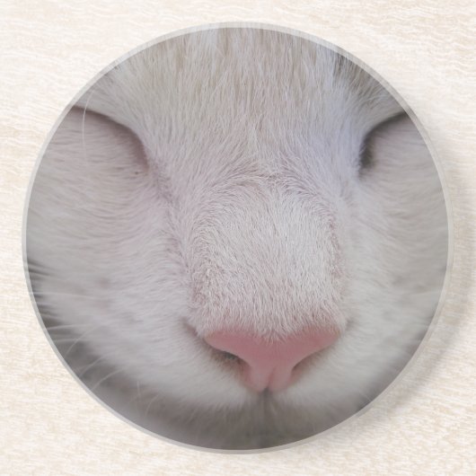 Slaapdeksel Zandsteen Onderzetter (Voorkant)