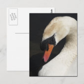 Slaapdemper Briefkaart (Voorkant / Achterkant)