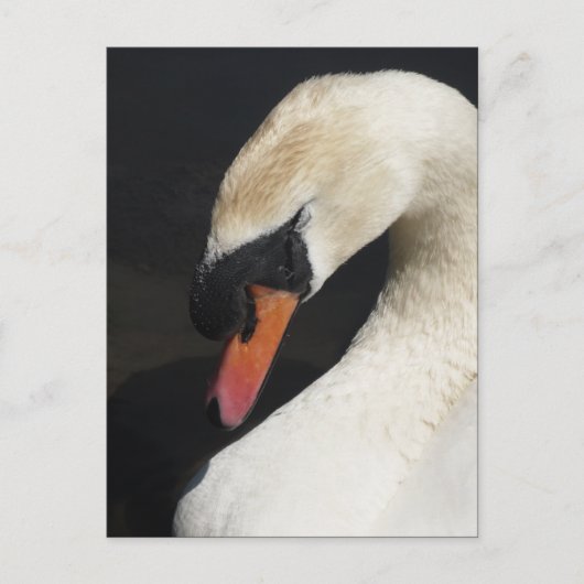 Slaapdemper Briefkaart (Voorkant)