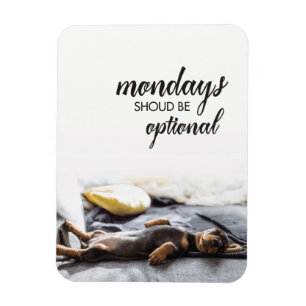 Slaapdoxie puppy Mondays moet optioneel zijn Magneet