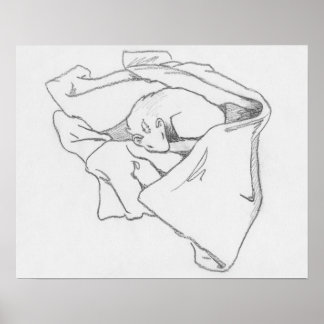 "Slaapdraak" Poster voor het trekken van fretten