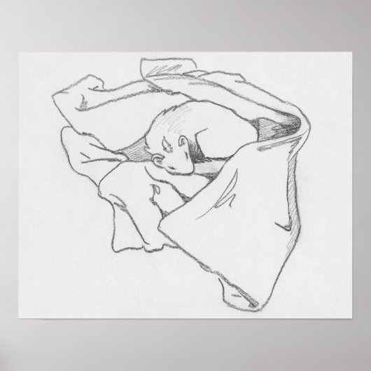 "Slaapdraak" Poster voor het trekken van fretten (Voorkant)