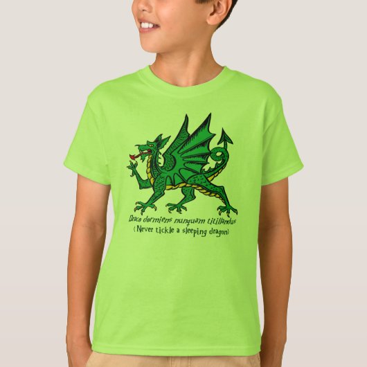 Slaapdraak-Shirt T-shirt (Voorkant)