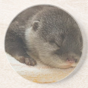 Slaapdronken Otter Zandsteen Onderzetter