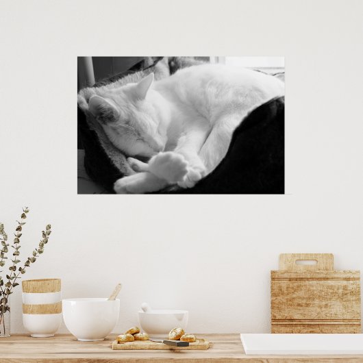 Slaapdruk Poster (Keuken)