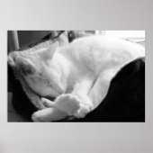 Slaapdruk Poster (Voorkant)