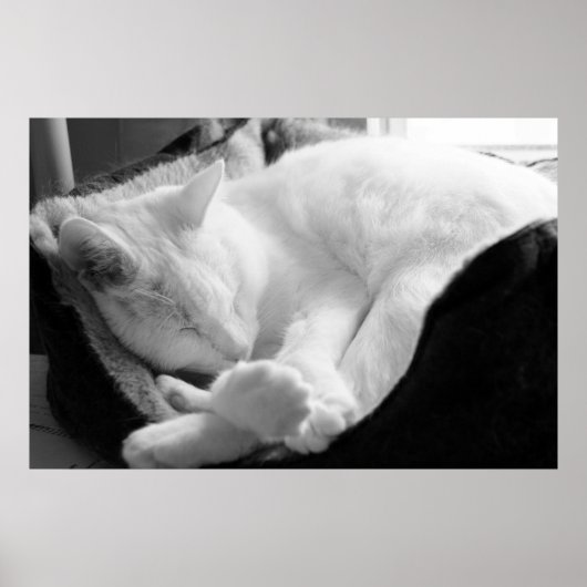 Slaapdruk Poster (Voorkant)