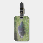 Slaapduif Aangepast Bagagelabel (Voorkant verticaal)