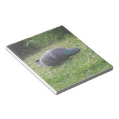 Slaapduif Blocnote (Schuin)