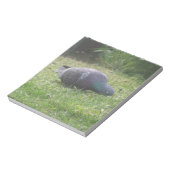 Slaapduif Blocnote (Linkerzijde)