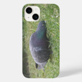 Slaapduif Case-Mate iPhone Case (Achterkant)