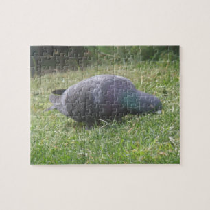 Slaapduif Legpuzzel