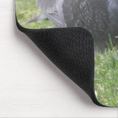 Slaapduif Mousepad Muismat (Hoek)