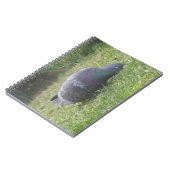 Slaapduif Notitieboek (Linkerzijde)