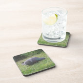 Slaapduif Onderzetter (Rechterzijde)