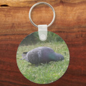 Slaapduif Sleutelhanger (Voorkant)