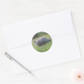 Slaapduif Sticker (Envelop)