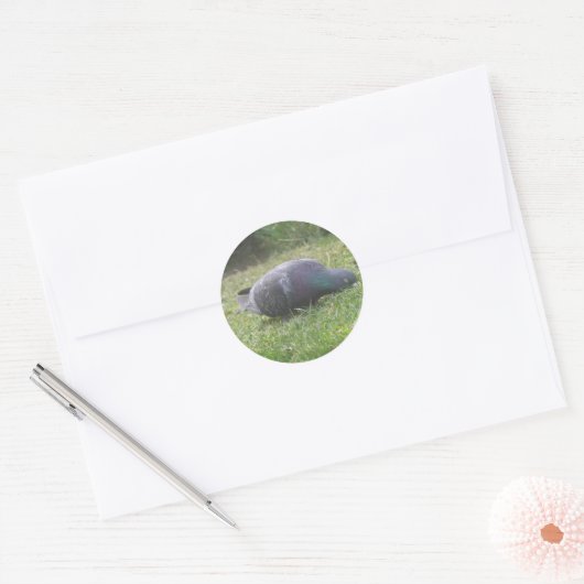 Slaapduif Sticker (Envelop)