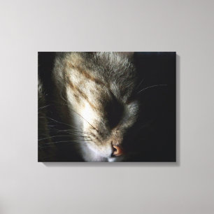 Slaapend 20-inch x16-inch canvas afdrukken