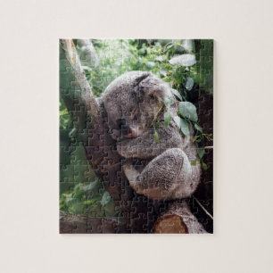 Slaapend Baby Koala Legpuzzel