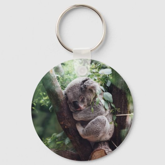 Slaapend Baby Koala Sleutelhanger (Voorkant)