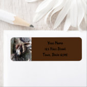 Slaapend Baby Raccoon Return-adreslabel Etiket (Insitu)