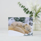 Slaapend Beer Briefkaart (Staand voorkant)