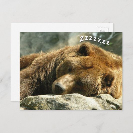 Slaapend Beer Briefkaart (Voorkant / Achterkant)