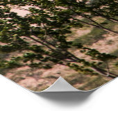 Slaapend Beer Dunes National Lakeshore MI Poster (Hoek)