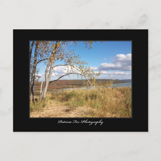 Slaapend Beer Sand Dunes 1 - Briefkaart (Voorkant)