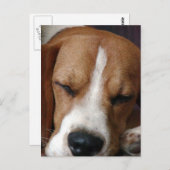 Slaapend Briefkaart (Voorkant / Achterkant)