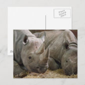 Slaapend Briefkaart (Voorkant / Achterkant)