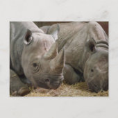 Slaapend Briefkaart (Voorkant)