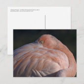 Slaapend Briefkaart (Voorkant / Achterkant)