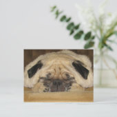 Slaapend Briefkaart (Staand voorkant)