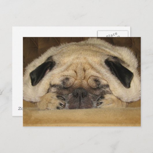 Slaapend Briefkaart (Voorkant / Achterkant)