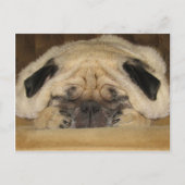 Slaapend Briefkaart (Voorkant)